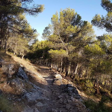 Apartamentos Rurales La Dehesa Del Acebuche Jaen Bagian luar foto