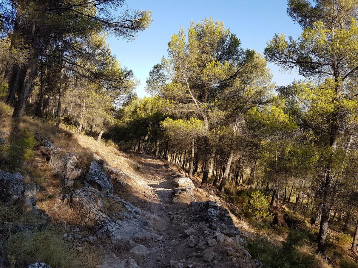 Apartamentos Rurales La Dehesa Del Acebuche Jaen Bagian luar foto